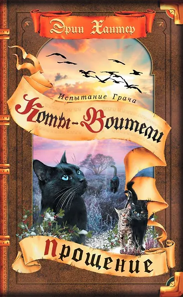 Испытание Грача. Книга 2. Прощение - фото 1