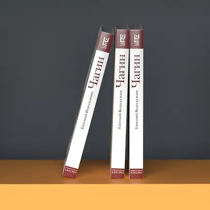 Чагин - фото 11