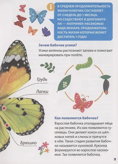 ЭНЦИКЛОПЕДИЯ ДЛЯ МАЛЕНЬКИХ ПОЧЕМУЧЕК. Насекомые - фото 4