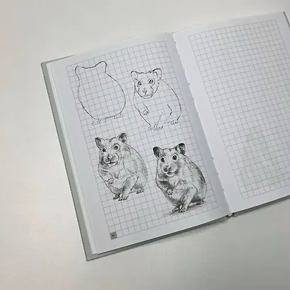 Творческий курс по рисованию. Рисуем животных! - фото 4