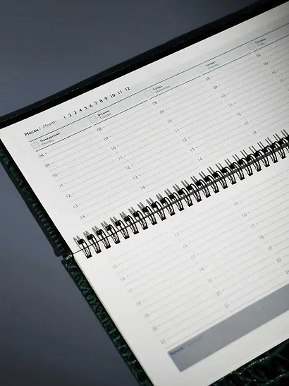 Планинг недат. 64л 390*180 "Аллигатор" зеленый, кожзам, тв.переплет, обл.поролон, офсет, настольный, откр.евроспираль, справ.мат-лы, ПВХ уп - фото 9