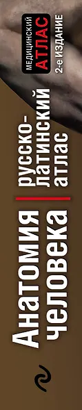 Анатомия человека:рус-лат.атл.2-е изд - фото 8