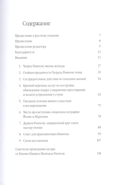Сострадательная деятельность (Ринпоче) - фото 2