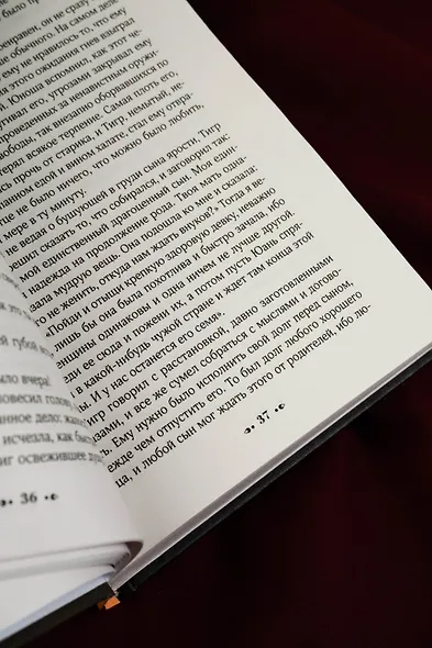 Дом разделенный - фото 8