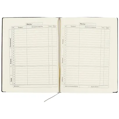 Дневник школьный Феникс+, "Графитовый" - фото 2