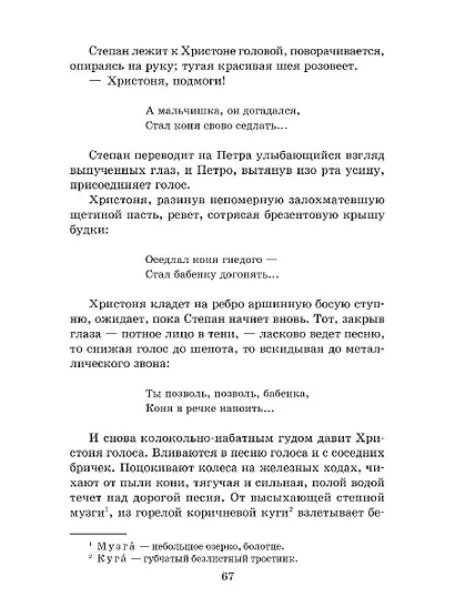 Тихий Дон. Книга 1 - фото 6