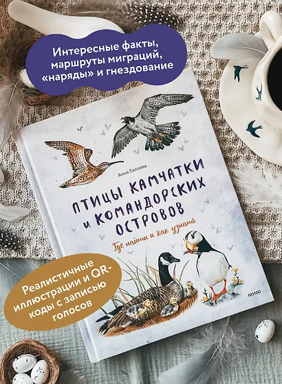 Птицы Камчатки и Командорских островов. Где найти и как узнать - фото 5