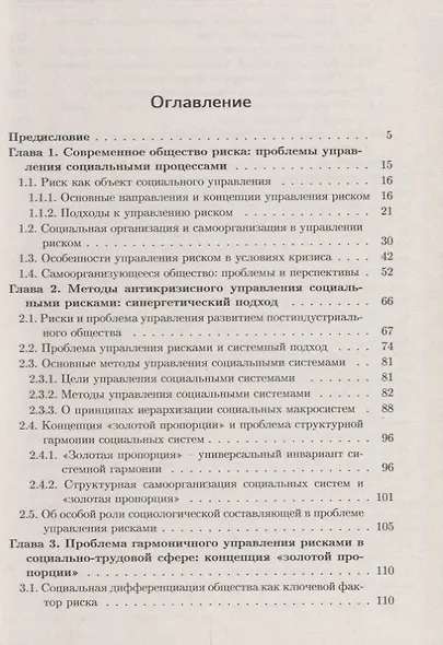 Антикризисное управление обществом риска: Синергетическая концепция - фото 2