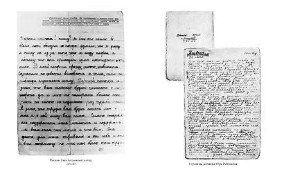 Блокадная книга - фото 4