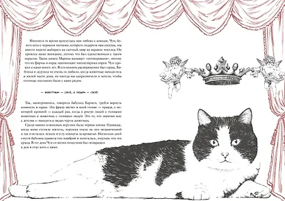 История кота, изменившего одну жизнь. Признание в любви - фото 15