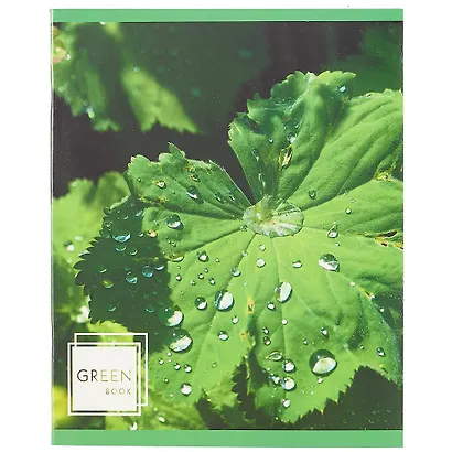 Тетрадь в линейку Listoff, "Листья в росе", 48 листов, в ассортименте - фото 5