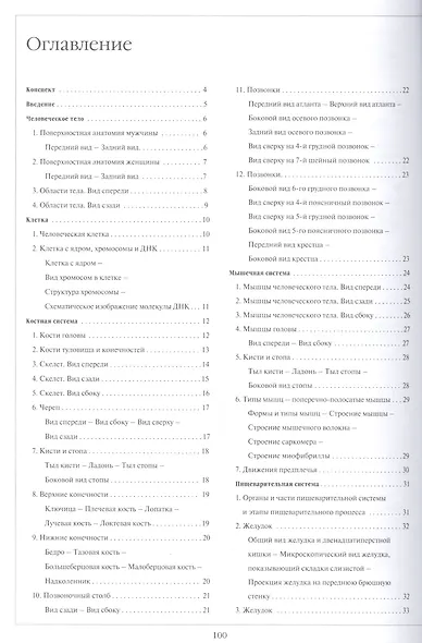 Атлас анатомии человека - фото 2