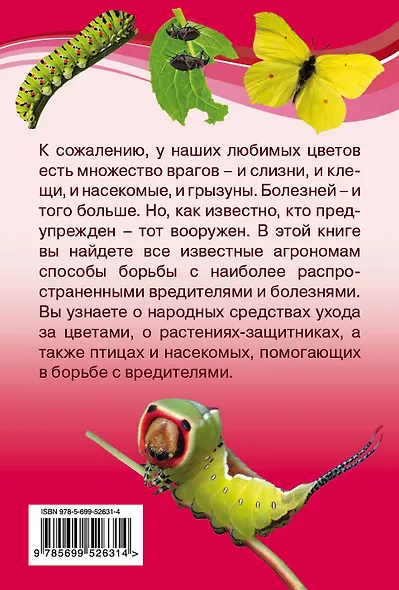 Защита цветочных культур от болезней и вредителей - фото 2