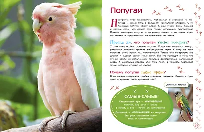 Птицы - фото 9