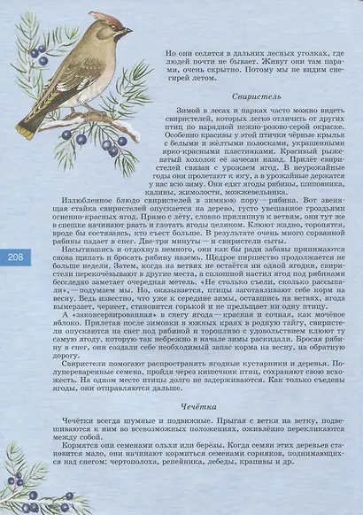 Детям о природе России. Времена года. - фото 4