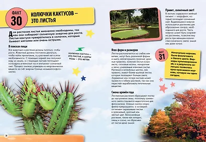 Всё об окружающем мире с научной точки зрения - фото 8