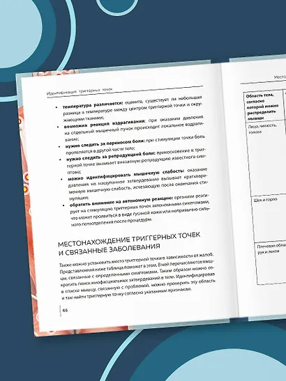 Триггерные точки под контролем. Программы для самостоятельного лечения мышечных зажимов и восстановления подвижности суставов - фото 9