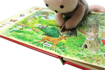 В лесу. Виммельбух - фото 10