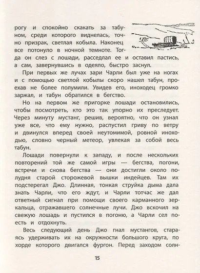 Мустанг-иноходец. Рассказы - фото 4