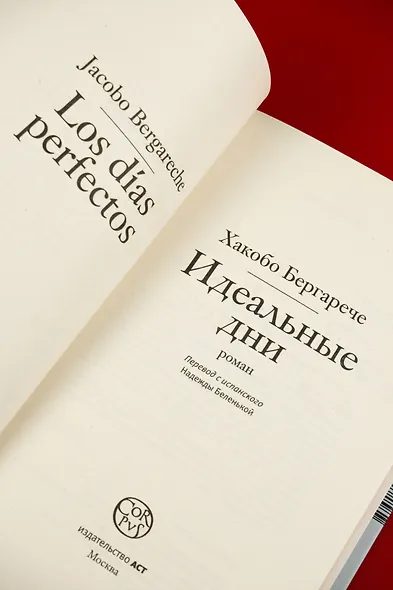 Идеальные дни - фото 6