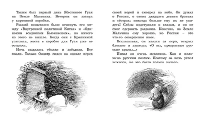 Мальчик, Жестяной Гусь и возвращение Элефанты - фото 5