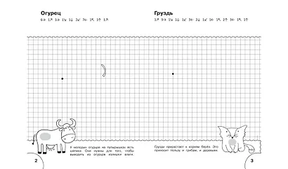 ПДШ  Графические диктанты. Растения и грибы. Развивающие задания. - фото 3