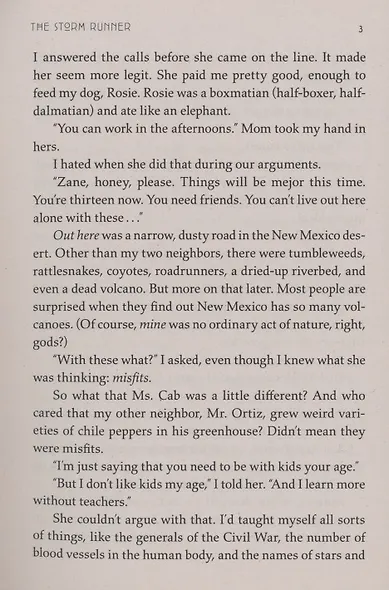 Storm Runner - фото 3