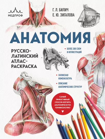 Анатомия: русско-латинский атлас-раскраска - фото 1