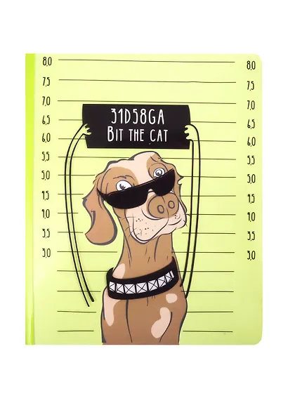 Тетрадь в линейку Феникс+, "Пёс", 40 листов - фото 1