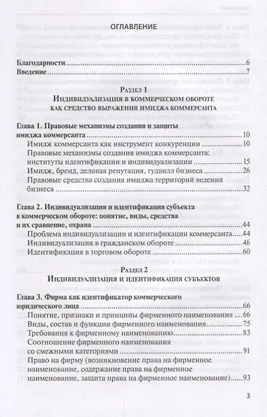 Имидж коммерсанта правовое регулирование и способы охраны (Филиппова) - фото 2