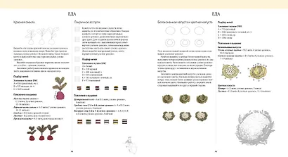 Вышивка в технике "рококо". Более 120 мотивов - фото 4