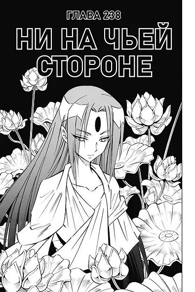 Король шаманов. Том 14 (Shaman King). Манга - фото 3