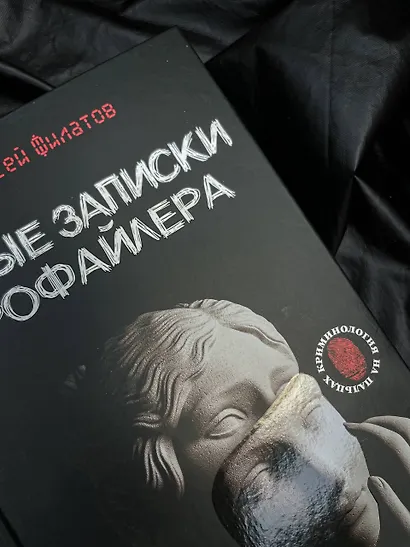 Новые записки профайлера. Психология скрытых мотивов - фото 8