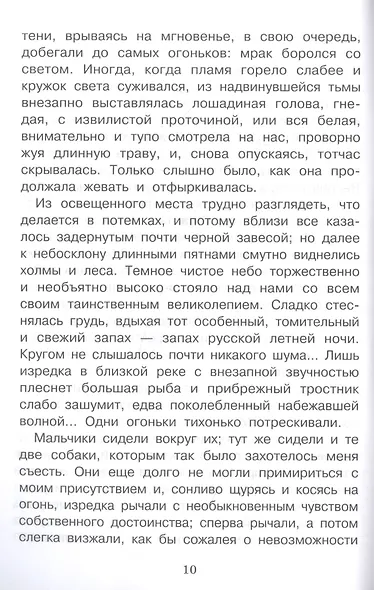 Бежин луг. Рассказы - фото 5