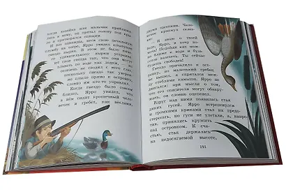 Путешествие Нильса с дикими гусями (ил. И. Панкова) - фото 9