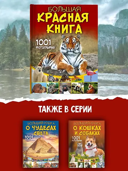 Большая красная книга. 1001 фотография - фото 6
