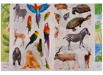 Мир природы. Фотонаклейки. В Африке - фото 4