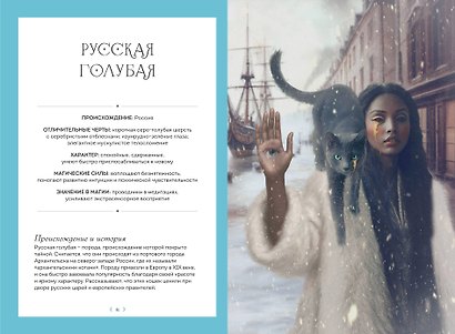 Кошки. Удивительные породы и их секреты - фото 6
