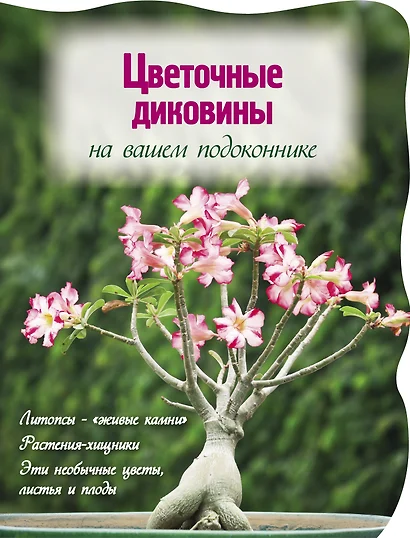 Цветочные диковины на вашем подоконнике (Вырубка. Цветы в саду и на окне) - фото 1