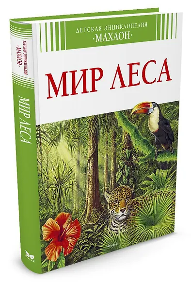 Мир леса - фото 2