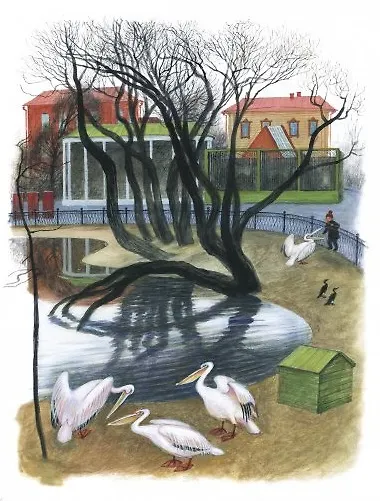 Рассказы о животных для детей - фото 6