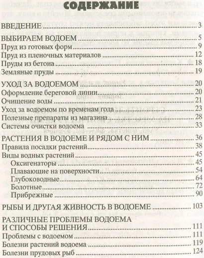 Строительство водоемов на участке - фото 2