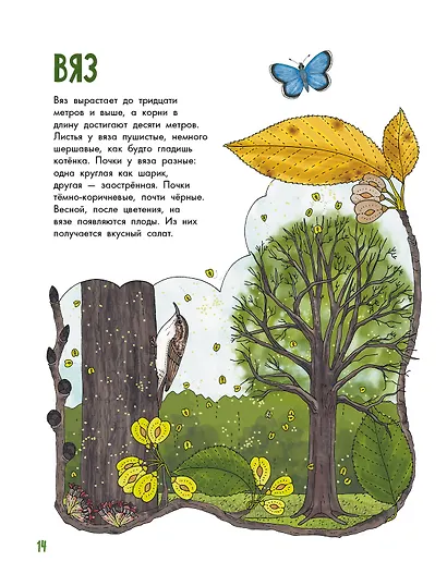 Деревья - фото 6