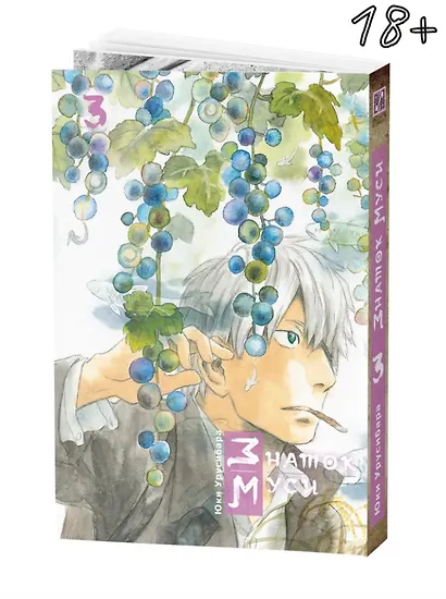 Знаток Муси. Бокс 1 (Комплект. Том 1-5) (Мастер Муси / Mushishi). Манга - фото 10