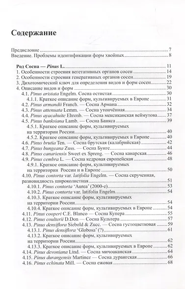 Виды и формы хвойных, культивируемые в России. Часть 4. Сосна - фото 2