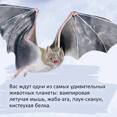 Самые удивительные животные в натуральную величину - фото 6