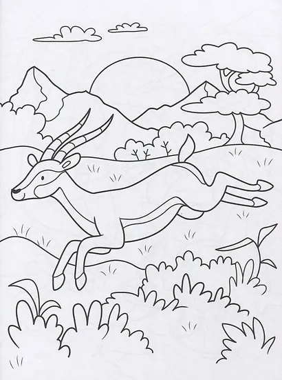 СУПЕР-ПУПЕР РАСКРАСКА. ДИКИЕ ЖИВОТНЫЕ - фото 2