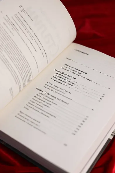 Сталин. Жизнь одного вождя: биография - фото 8