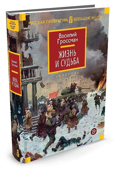Жизнь и судьба - фото 2