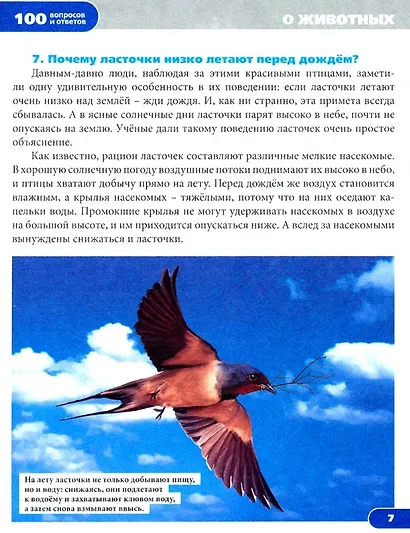 Удивительные факты. Энциклопедия - фото 3